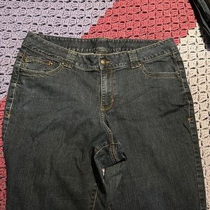 Petite jeans lane Bryant size 20
